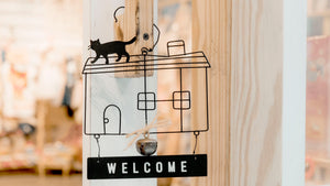 Bringing a new cat home? Here's what you'll need to prepare